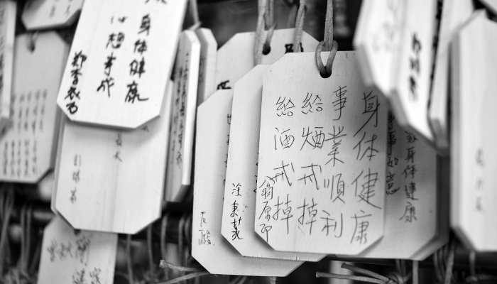 辅助神器“微乐a3纸牌开挂神器”开挂(透视)辅助教程